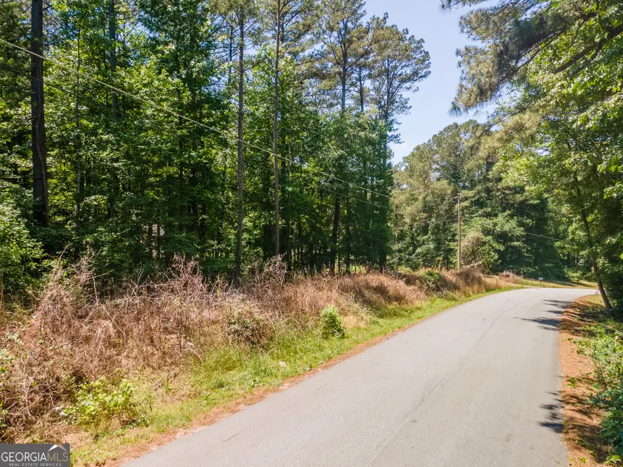 4795 Amsler Road, Ellenwood, GA 30294 - #3