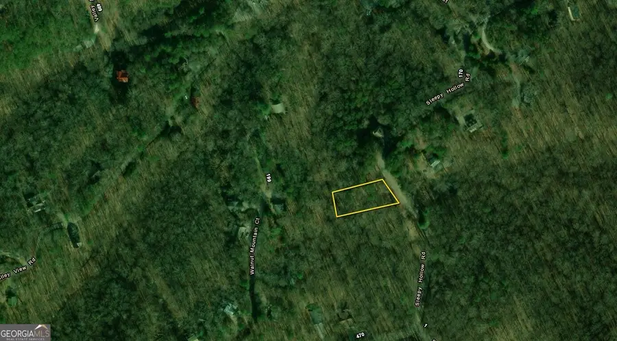 0 Sleepy Hollow Road #LOT 46, Ellijay, GA 30536 - #2
