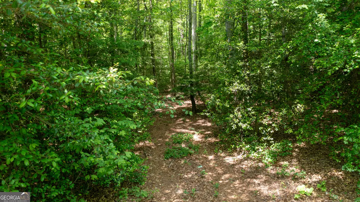 0 Hwy 136 (3.12 Acres), Dawsonville, GA 30534 - #1