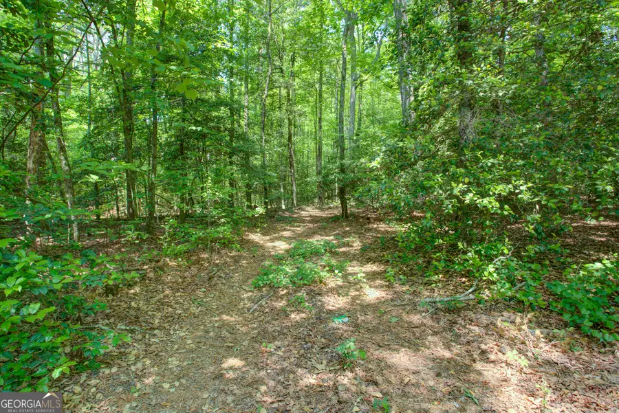 0 Hwy 136 (3.12 Acres), Dawsonville, GA 30534 - #2