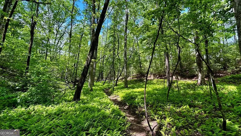 LOT 12 Frances Drive, Ellijay, GA 30536 - #1