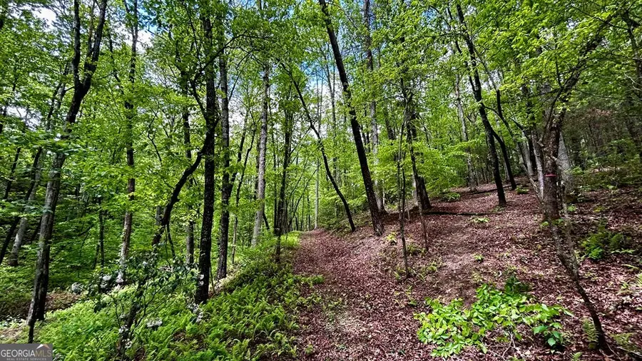 LOT 12 Frances Drive, Ellijay, GA 30536 - #3
