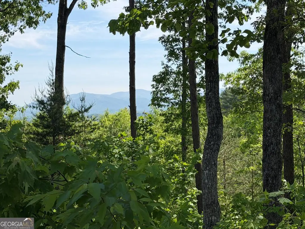 LOT 31 Summit View Lane, Ellijay, GA 30540 - #1
