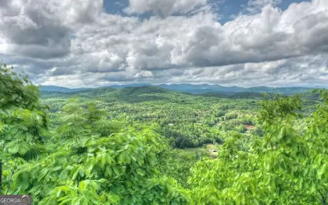 LOT 1 High Country Lane, Morganton, GA 30560 - #1