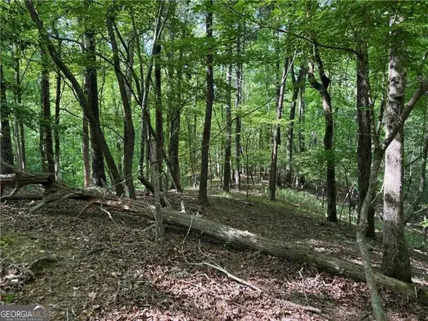 0 High Shoals Drive, Dahlonega, GA 30533