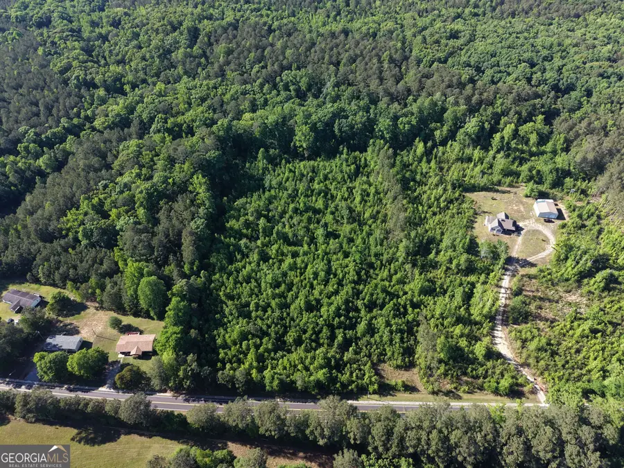 1191 Peachtree West Avenue, Union Point, GA 30669 - #2