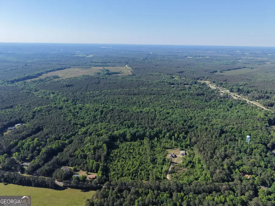 1191 Peachtree West Avenue, Union Point, GA 30669 - #3