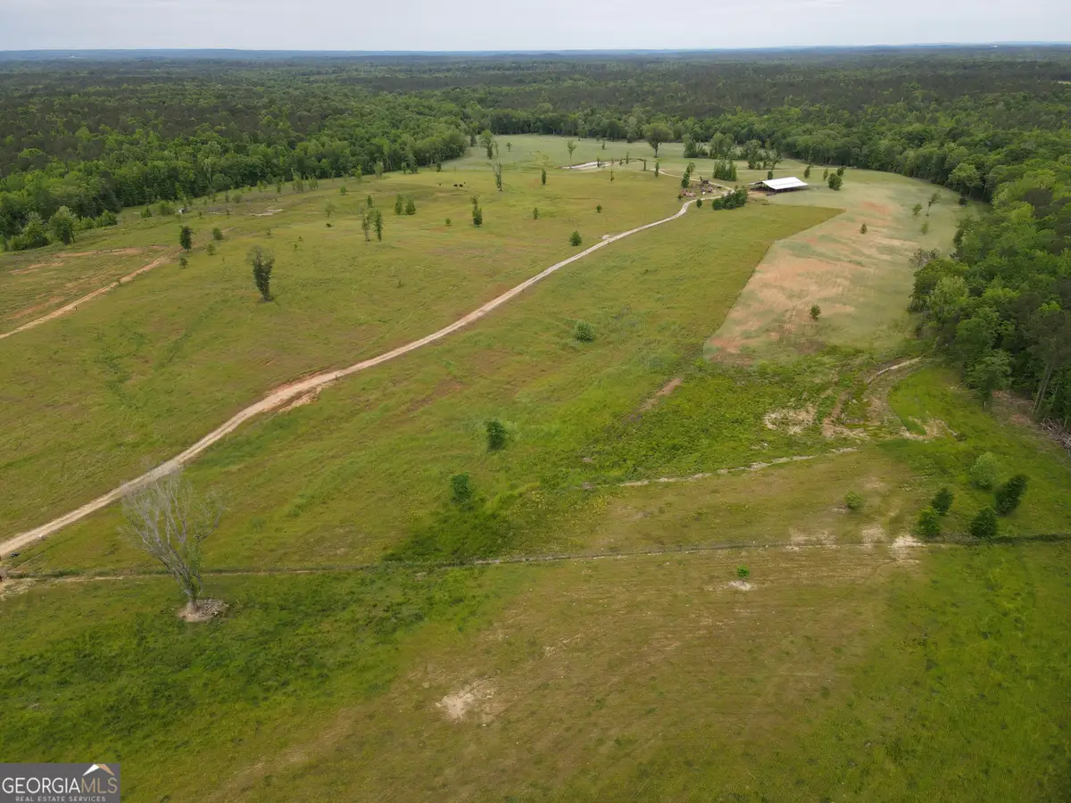 1120 Julia Jordan Road, Roberta, GA 31078 - #1