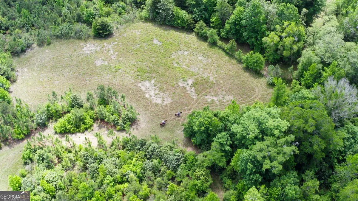 0 County Road 231, Abbeville, AL 36310 - #1