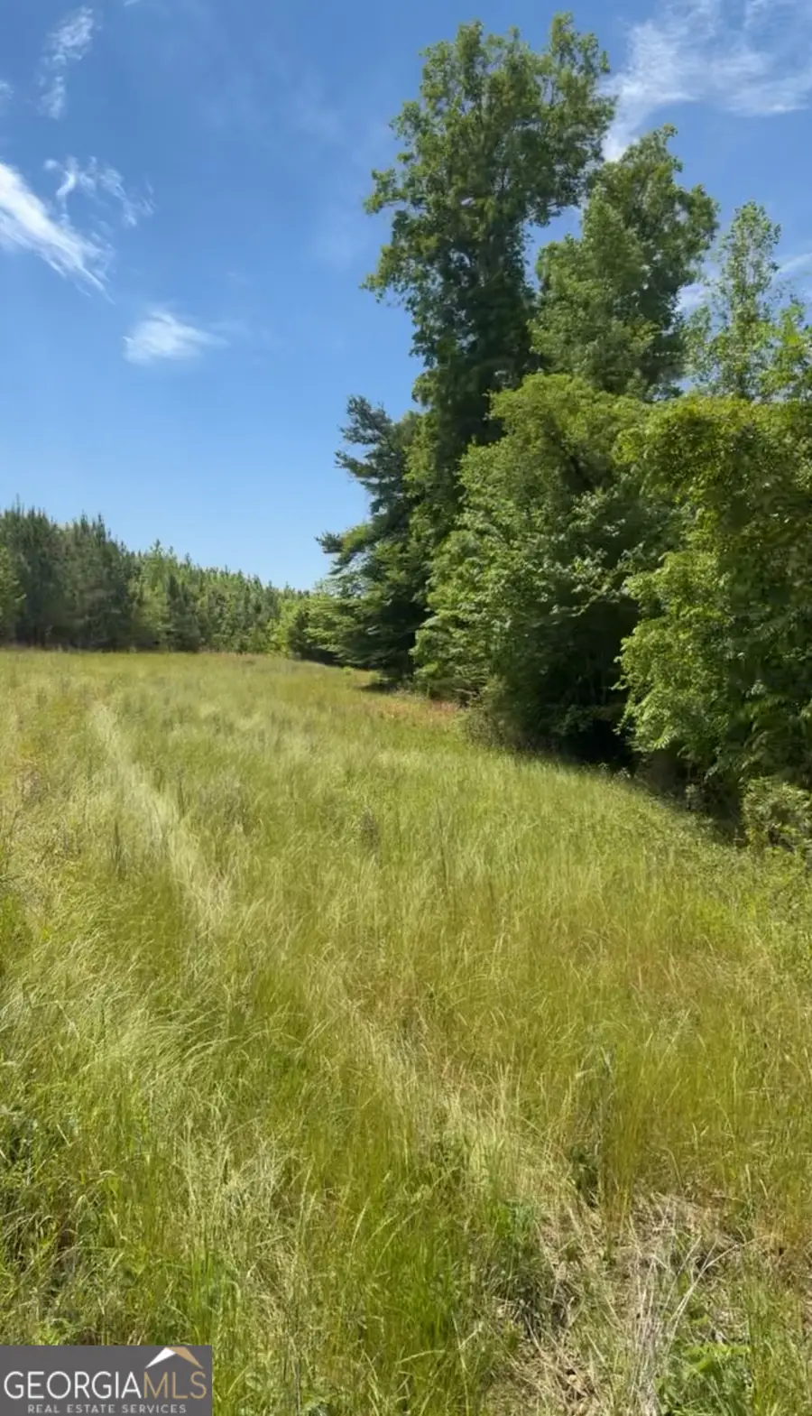 0 County Road 231, Abbeville, AL 36310 - #2