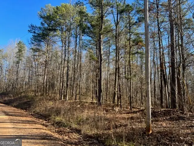 0 Creek Road, Ashland, AL 36251 - #1