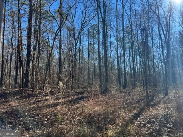 0 Creek Road, Ashland, AL 36251 - #2