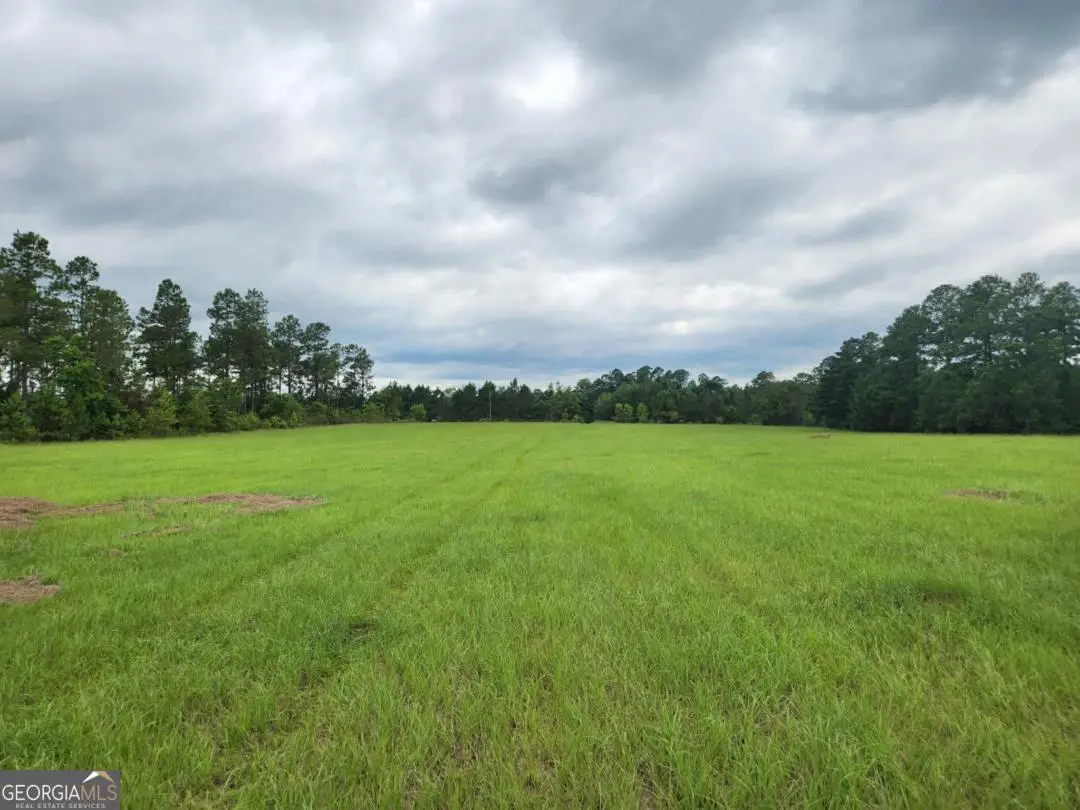 0 Stingray Road, Swainsboro, GA 30401 - #1