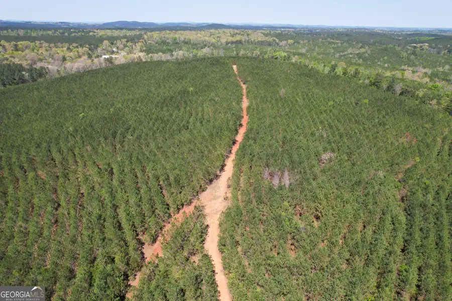 71 +/- Acres On Us Hwy 278, Cedartown, GA 30125 - #3