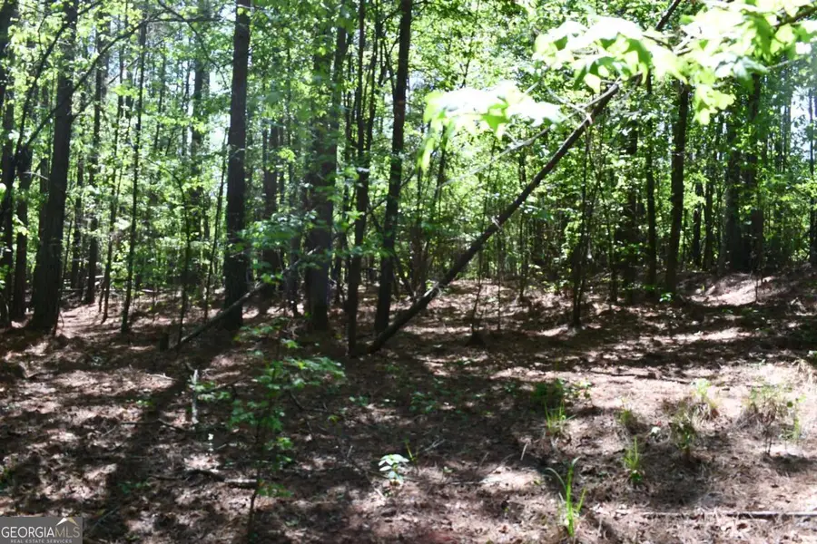 00001 Windridge Lane, Temple, GA 30179 - #2