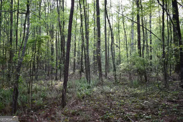 00004 Windridge Lane, Temple, GA 30179