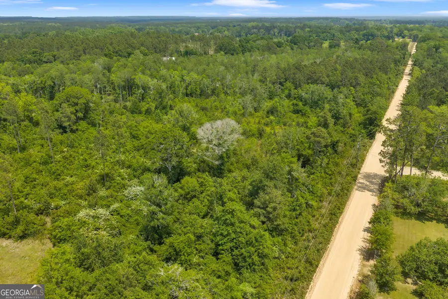 0 Ohio Road, Fitzgerald, GA 31750 - #3