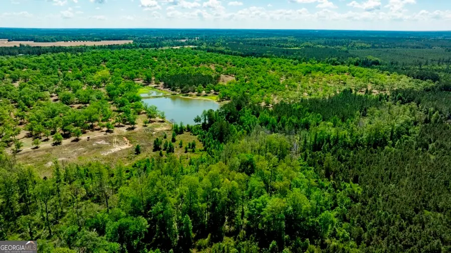 16505 Union Road, Metter, GA 30439 - #2