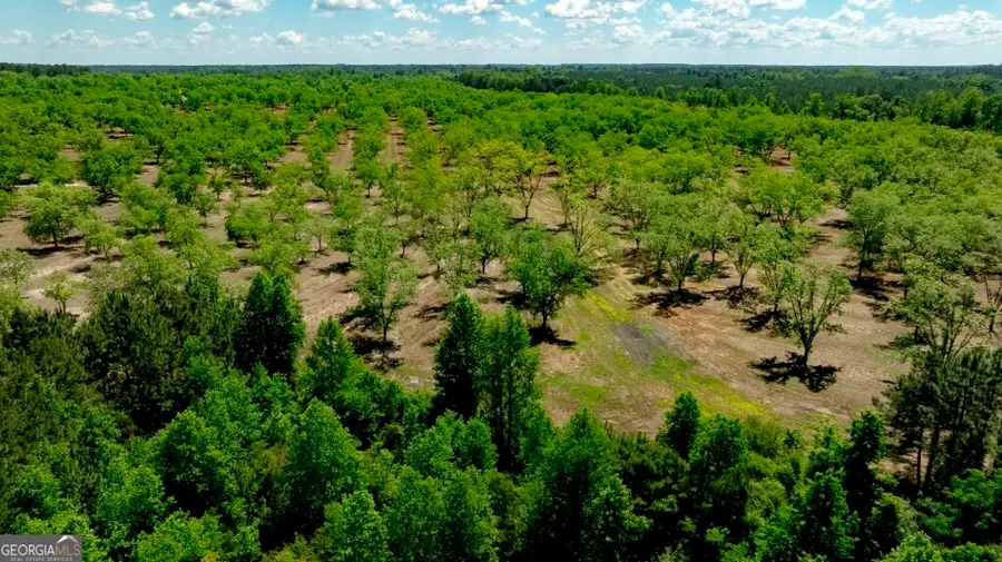 16505 Union Road, Metter, GA 30439 - #3