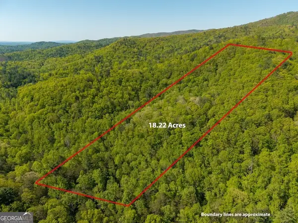 TR 1 Pleasant Hill Trail, Ellijay, GA 30540