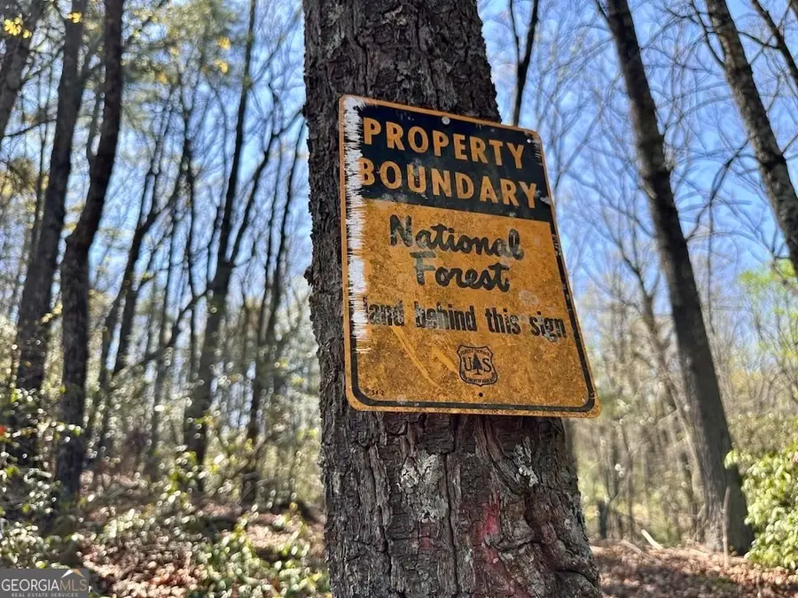 TR 1 Pleasant Hill Trail, Ellijay, GA 30540 - #2