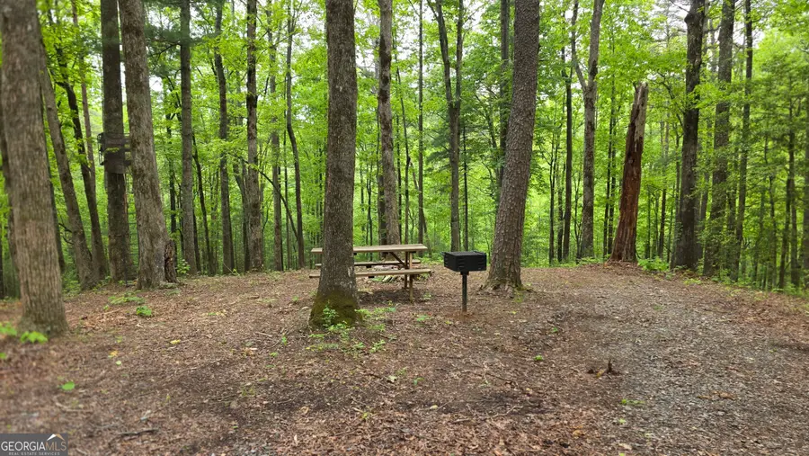 0 Pleasant Hill Trail, Ellijay, GA 30540 - #3