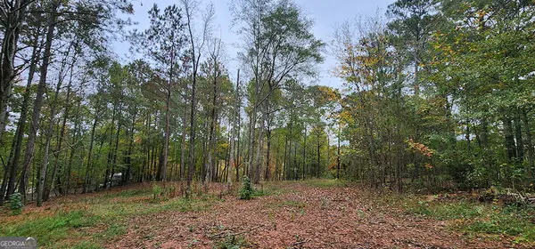 18 E Mourning Dove Court, Monticello, GA 31064