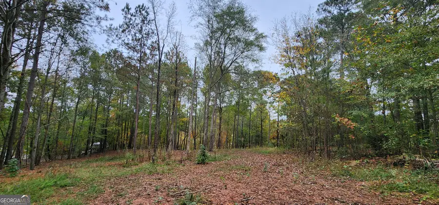 18 E Mourning Dove Court, Monticello, GA 31064 - #2