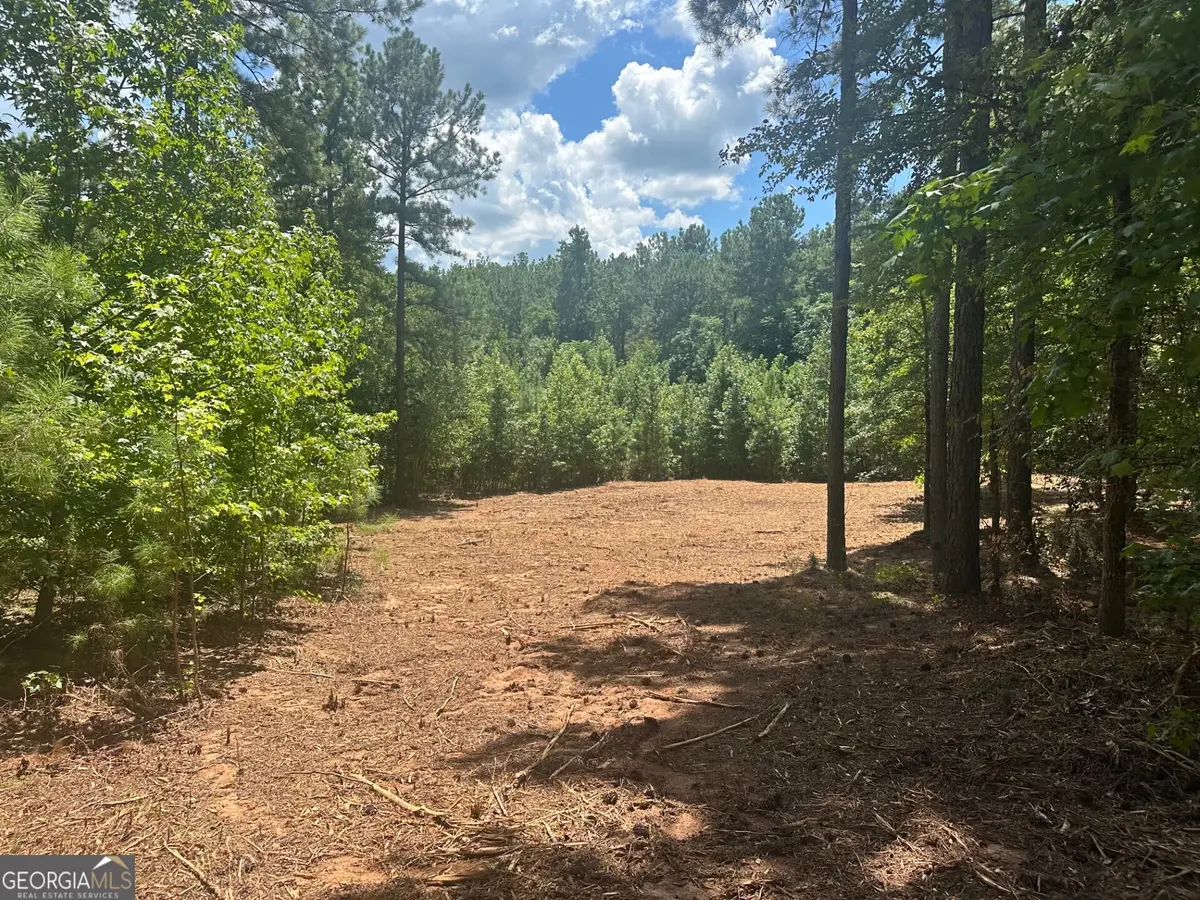 0 Ruckersville Road, Elberton, GA 30635 - #1