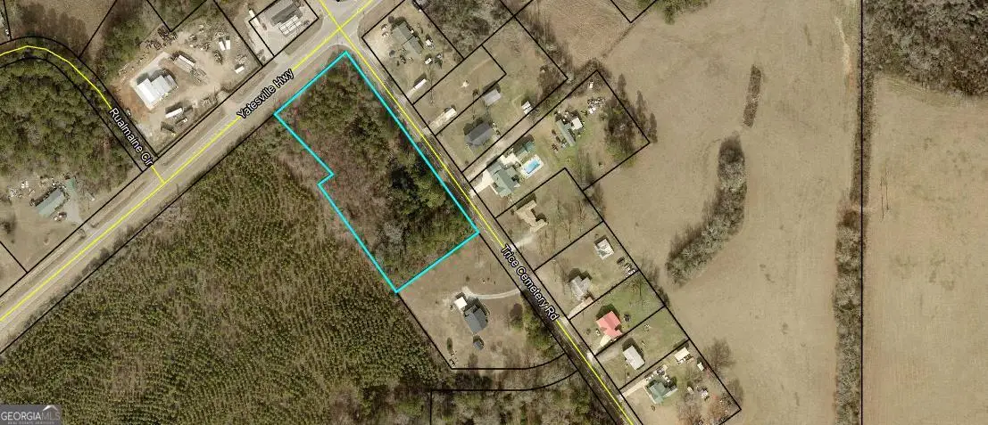 724 Trice Cemetary Road, Thomaston, GA 30286 - #1