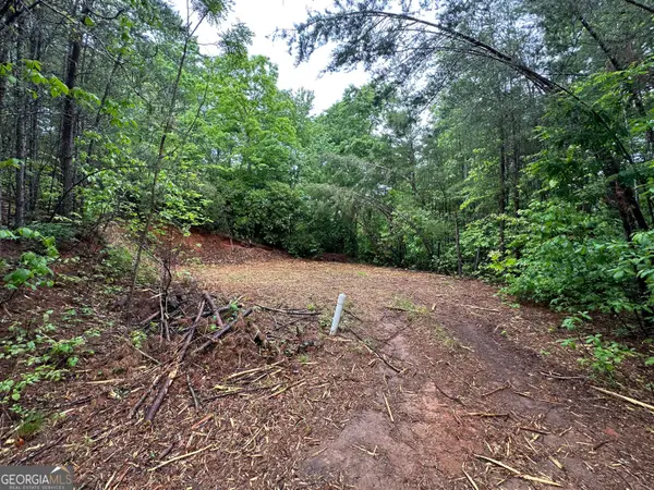 0 Toole St, Clayton, GA 30525