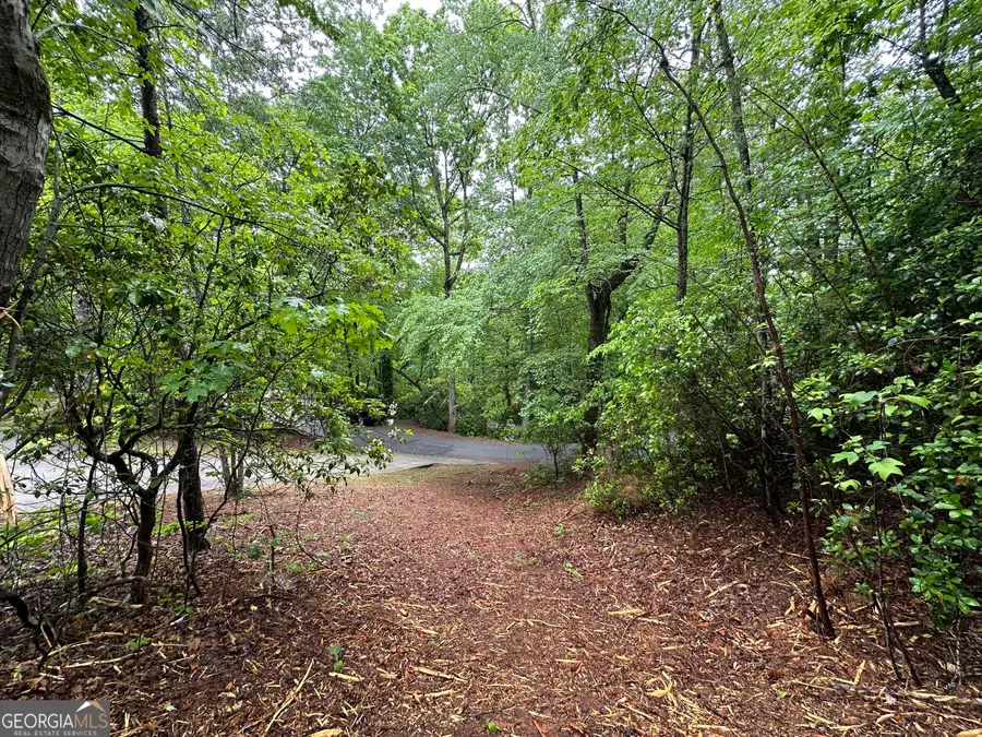 0 Toole Street, Clayton, GA 30525 - #3