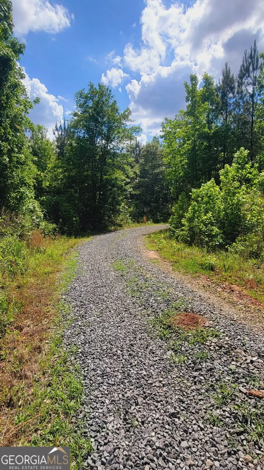 2455 Waymanville Rd., Thomaston, GA 30286 - #2