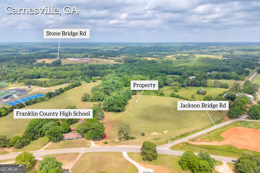 6490 Hwy 145, Carnesville, GA 30521 - #2