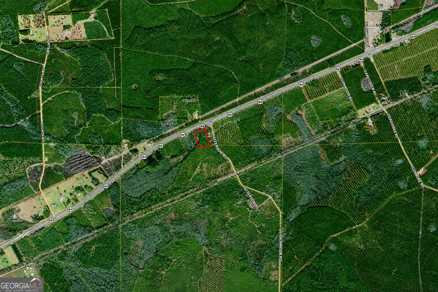 4.62 ACRES Valdosta Highway, Manor, GA 31550 - #2