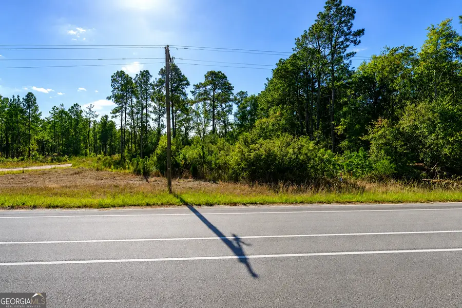 4.62 ACRES Valdosta Highway, Manor, GA 31550 - #3