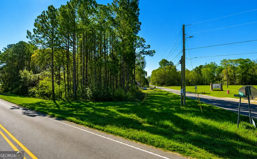 .77 ACRE Leary North Road, Ashburn, GA 31714 - #2