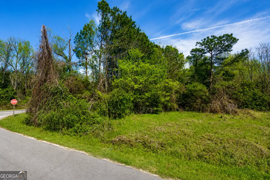 .80 ACRE Monnie Street, Ashburn, GA 31714 - #2