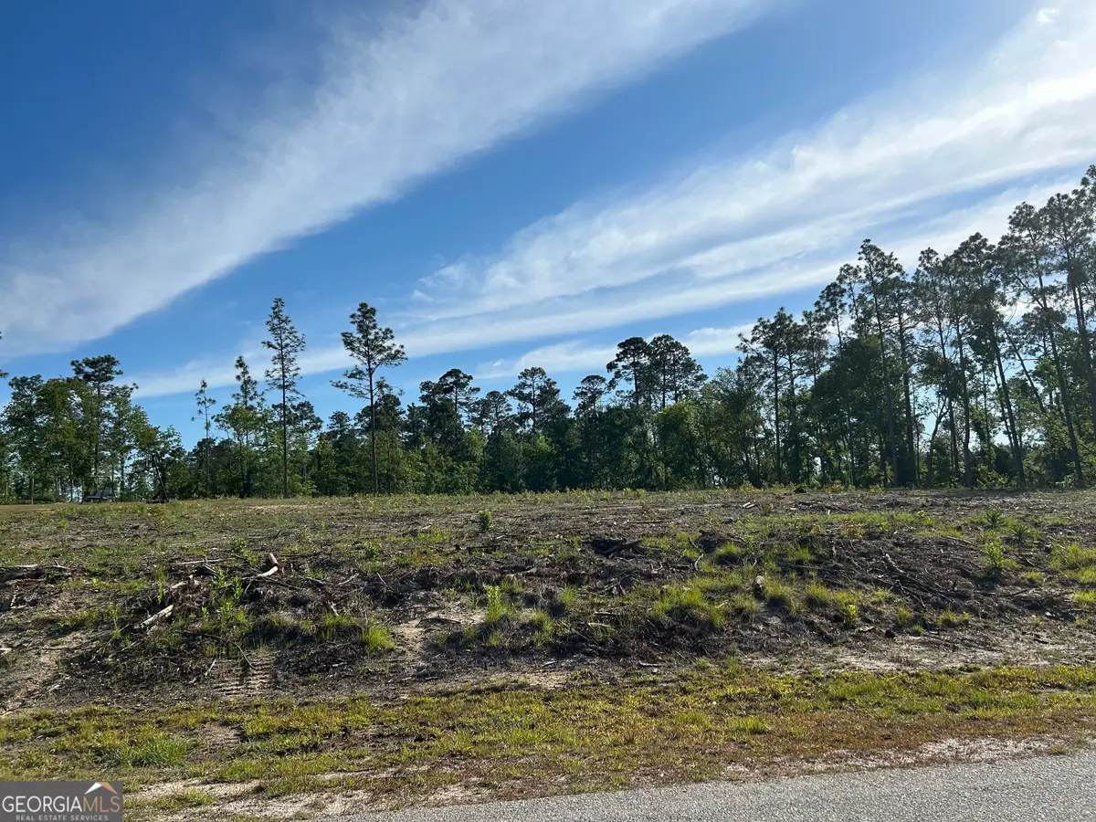 170 Julie Drive, Vidalia, GA 30474 - #1