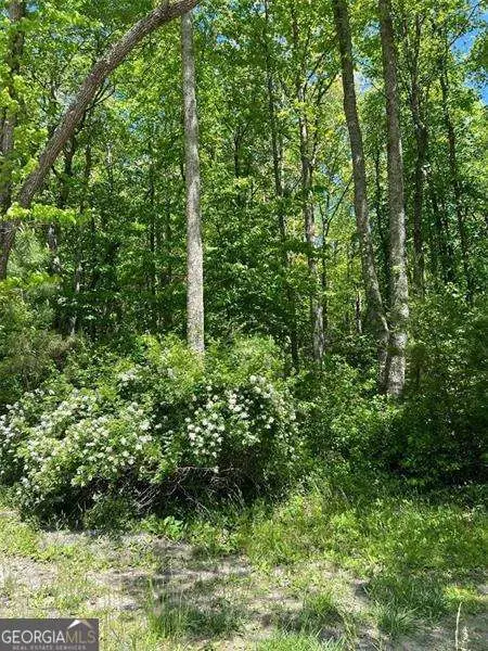 0 Sunrise Valley Road, Blue Ridge, GA 30513 - #1