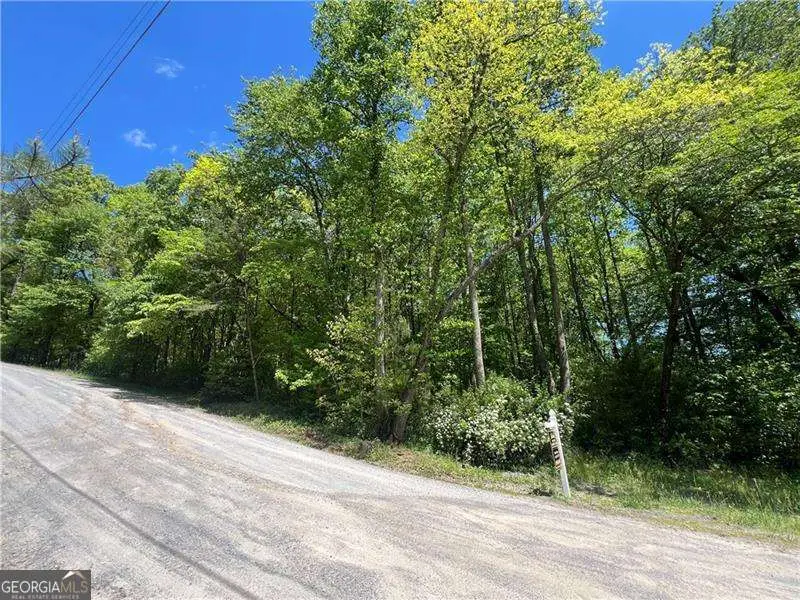 0 Sunrise Valley Road, Blue Ridge, GA 30513 - #2