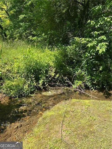 0 Sunrise Valley Road, Blue Ridge, GA 30513 - #3