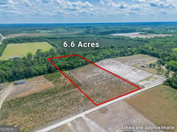 6.6 ACRES Bert Road, Hoboken, GA 31542