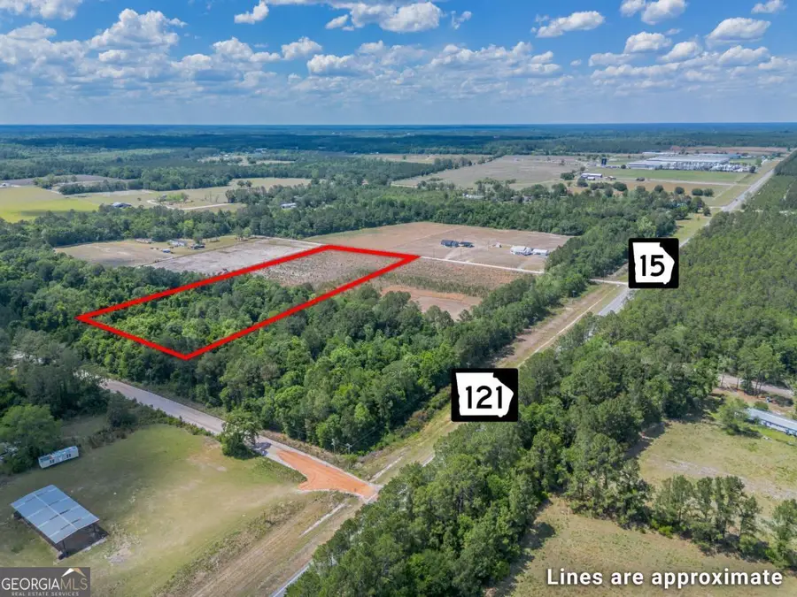 6.6 ACRES Bert Road, Hoboken, GA 31542 - #3