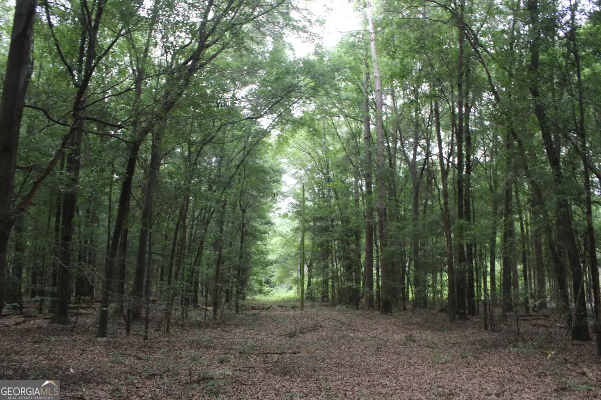 0 S State Route 49 Road, Oglethorpe, GA 31068 - #1