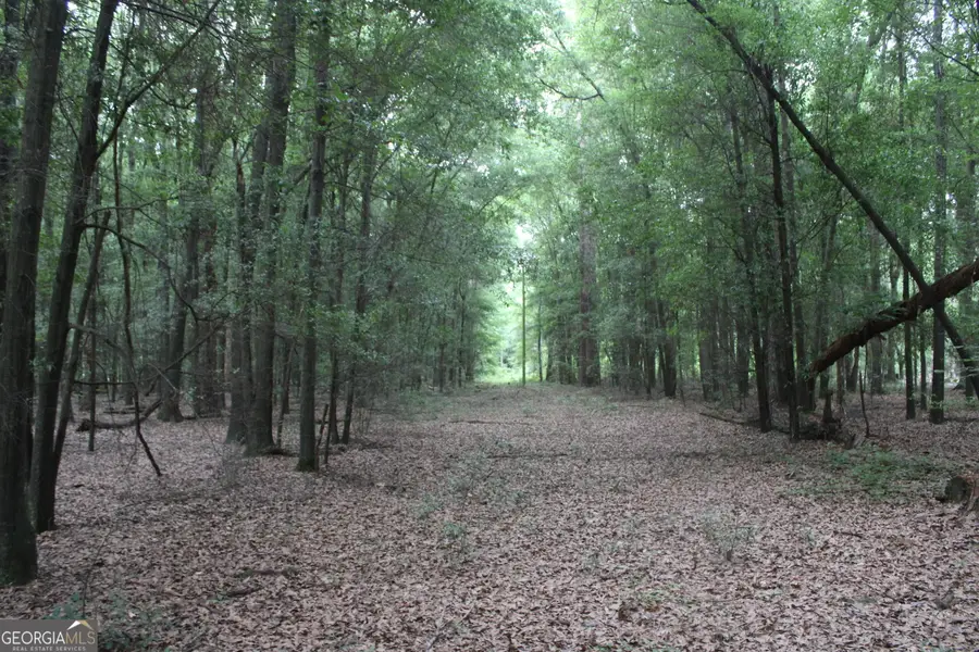 0 S State Route 49 Road, Oglethorpe, GA 31068 - #2