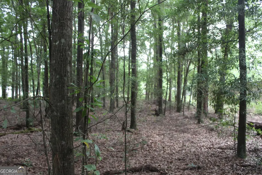 0 S State Route 49 Road, Oglethorpe, GA 31068 - #3