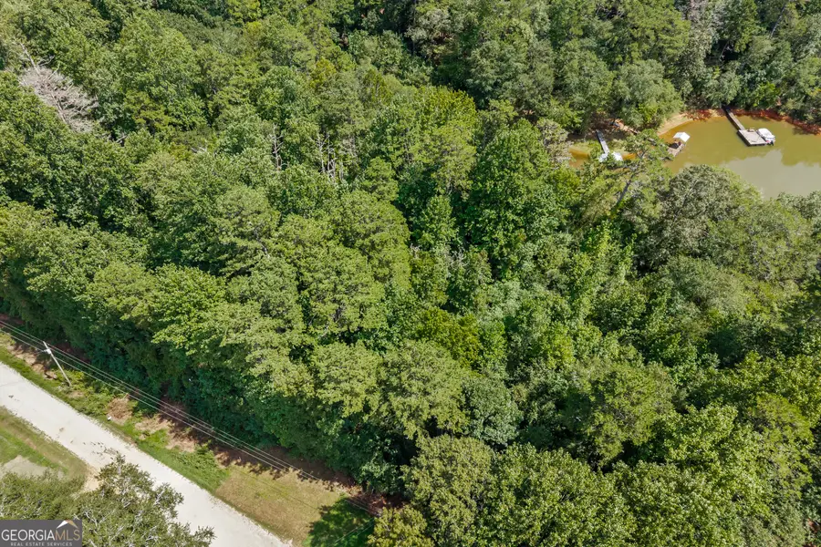 474 Lewis Drive, Lavonia, GA 30553 - #3