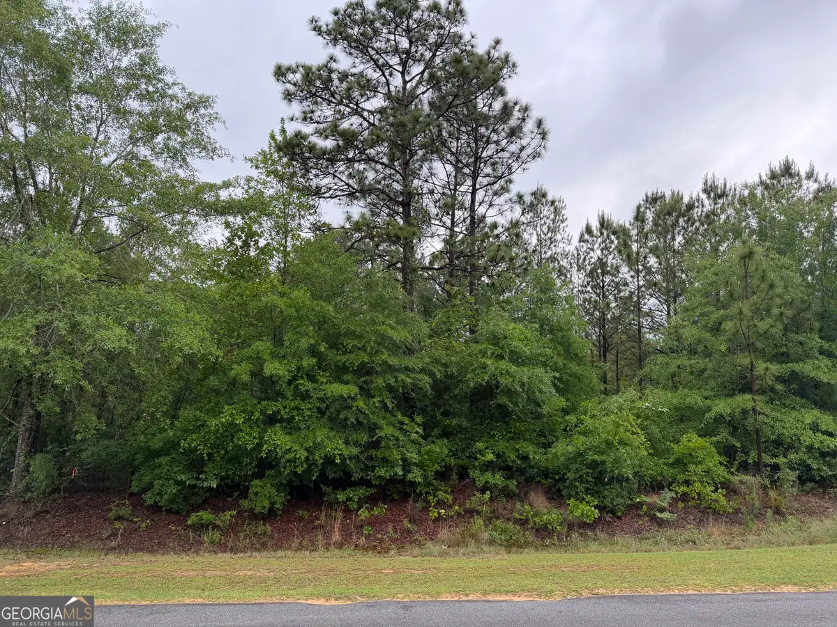0 J W Miller Road, Reynolds, GA 31076 - #1