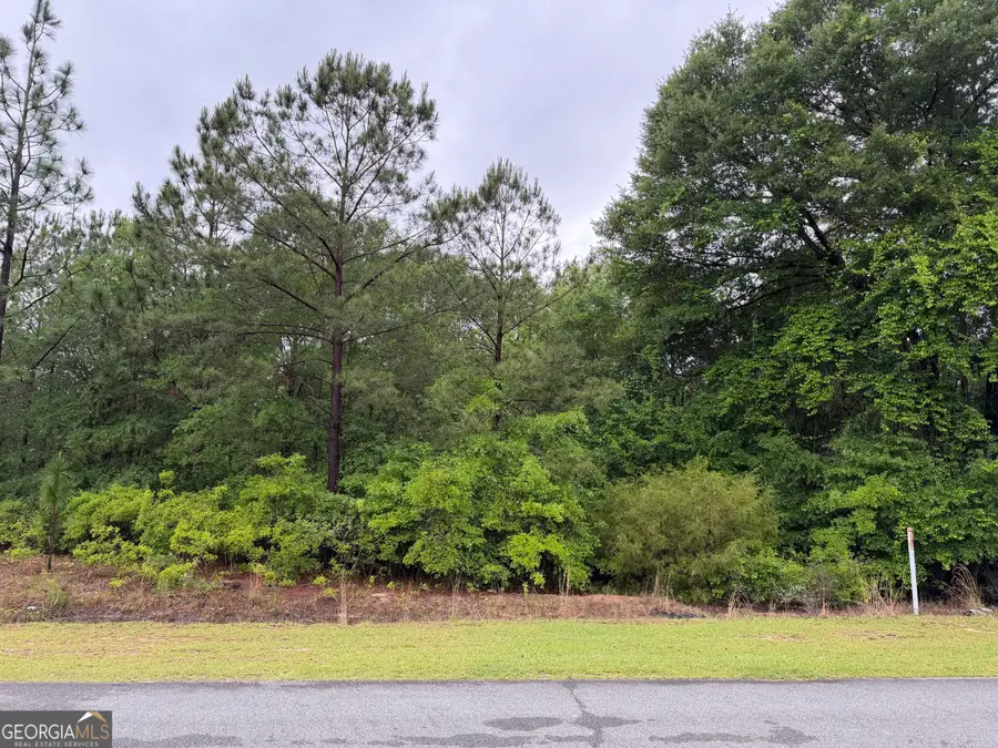 0 J W Miller Road, Reynolds, GA 31076 - #2